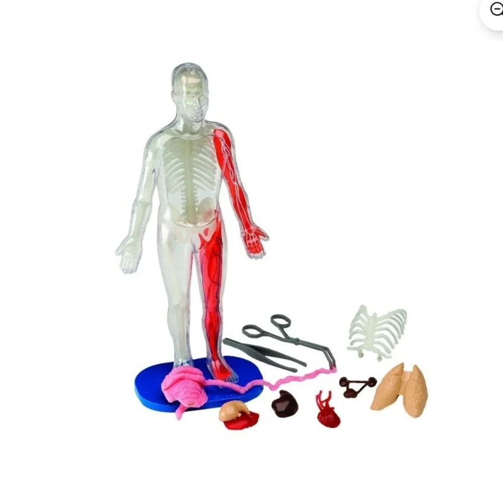 SmartLab Toys Squishy Human Body‎ 29 Piece Anatomy Model Kit with 24 Page Book